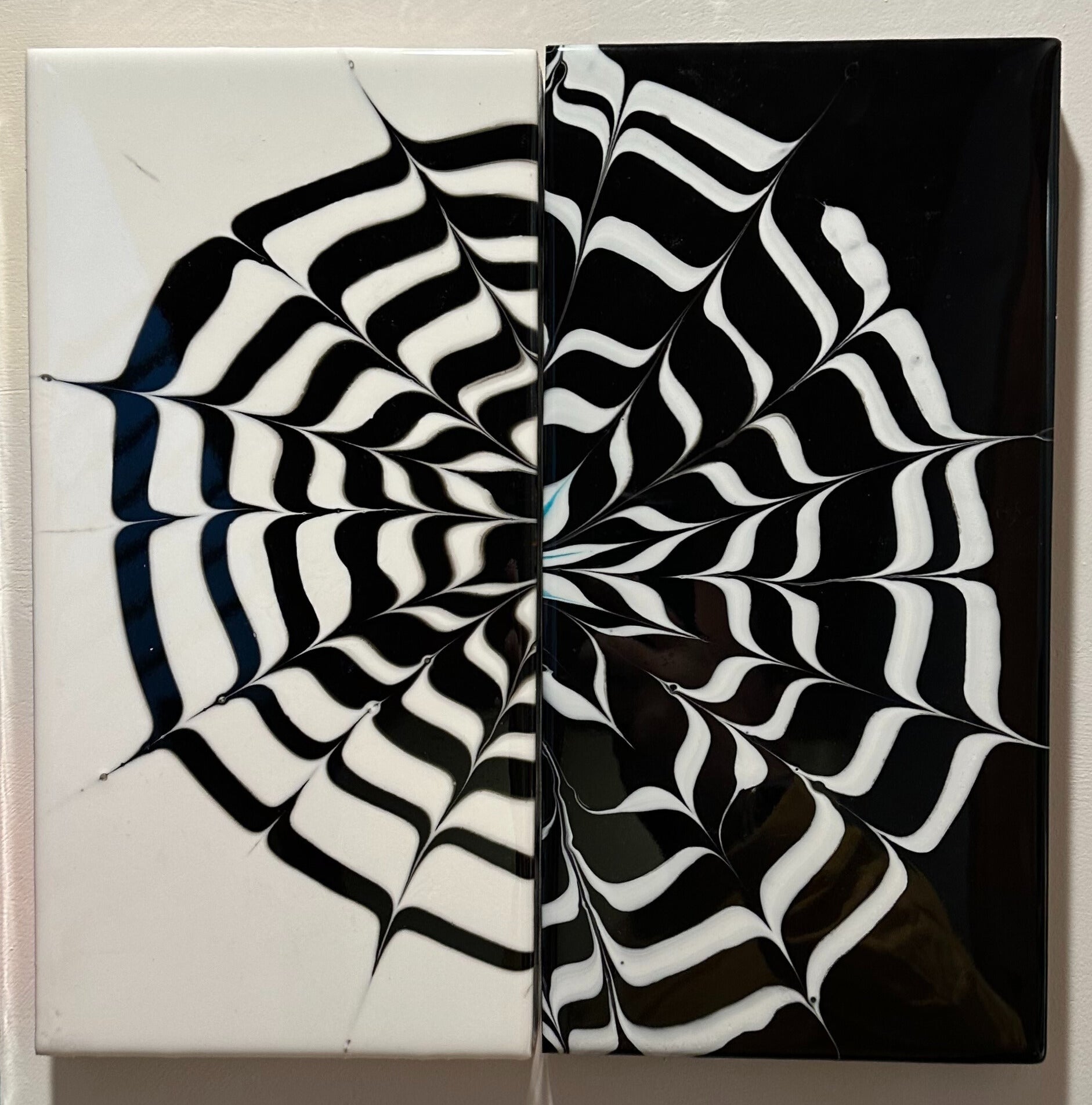 Zebra Echo