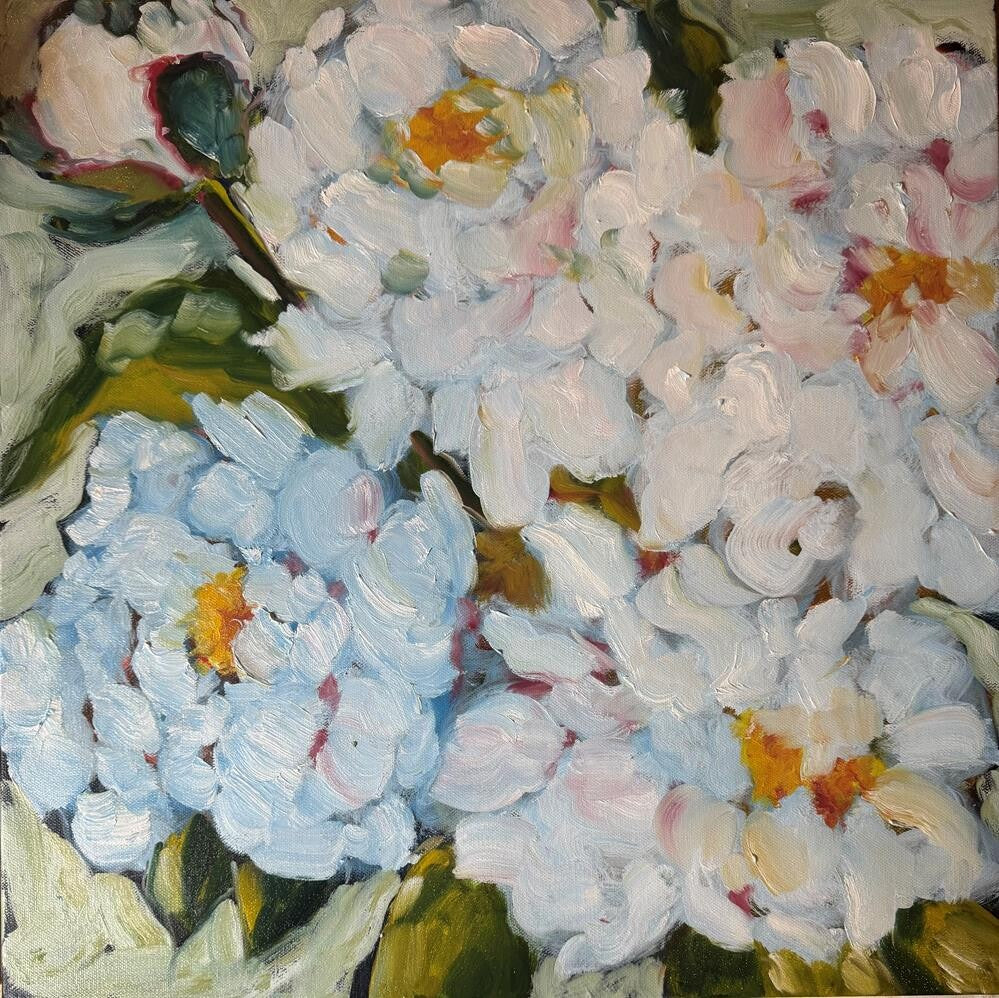 Milky Magnolias