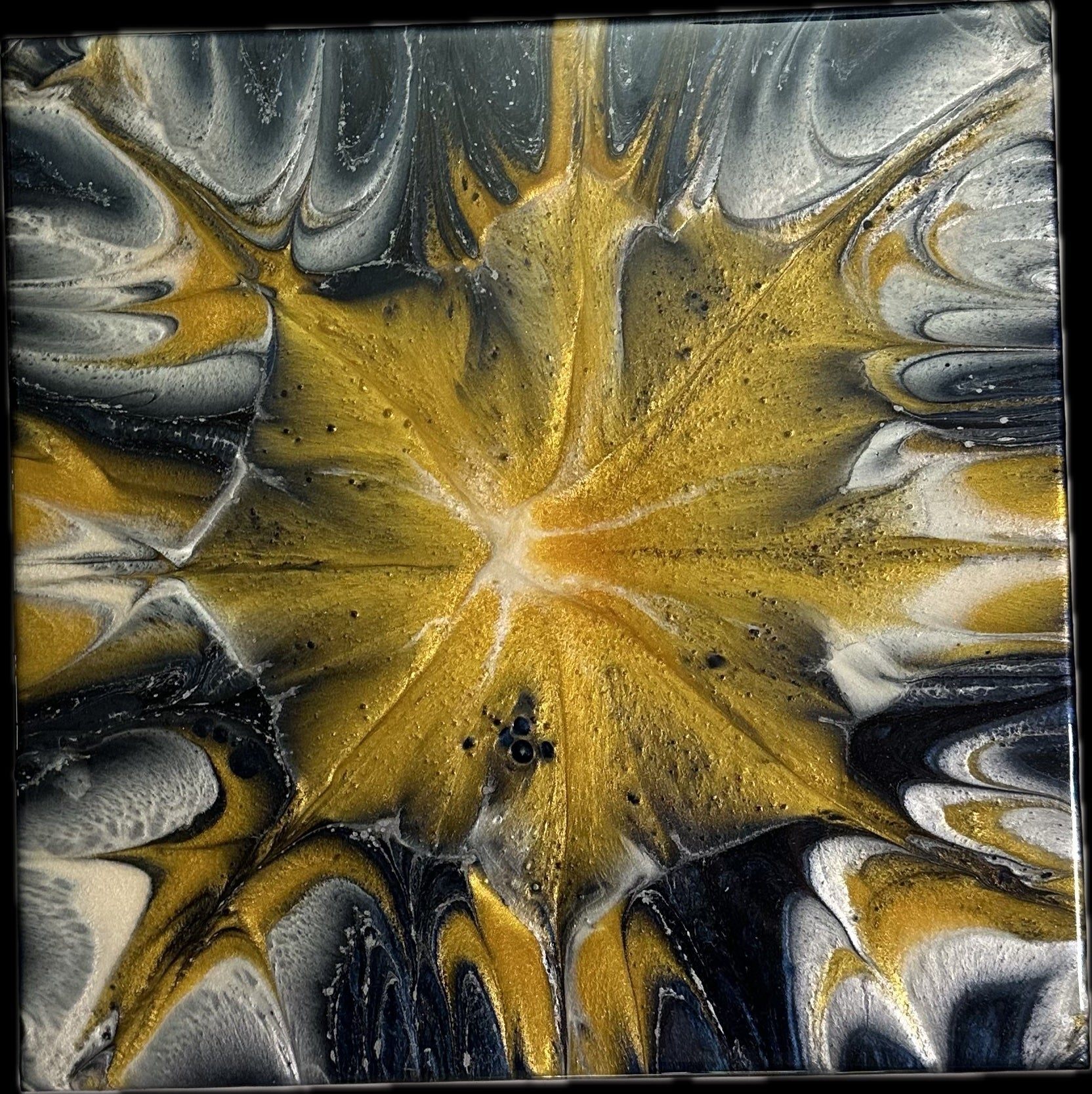 Harbor’s Midnight Veil