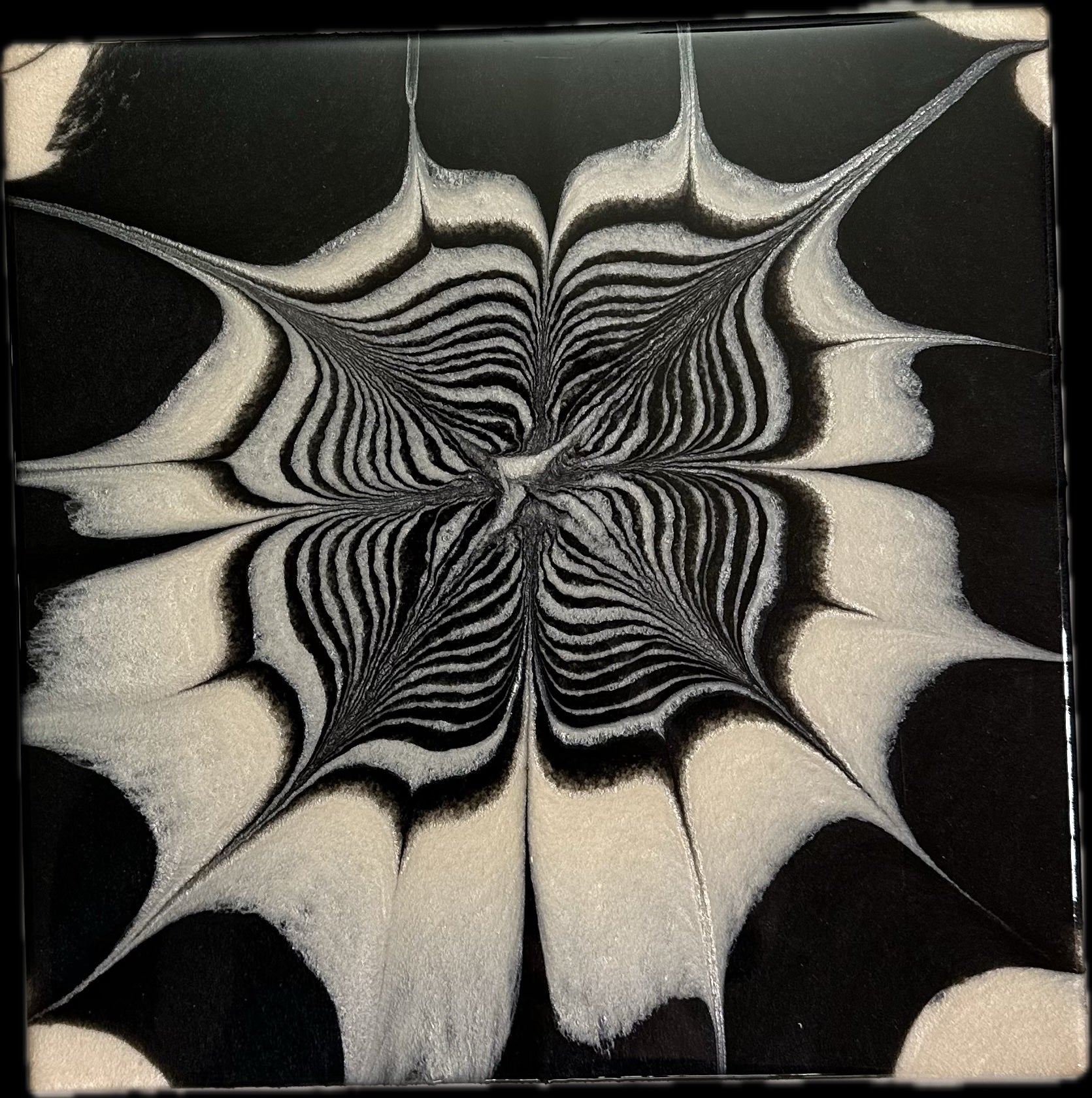 Petals in the Current