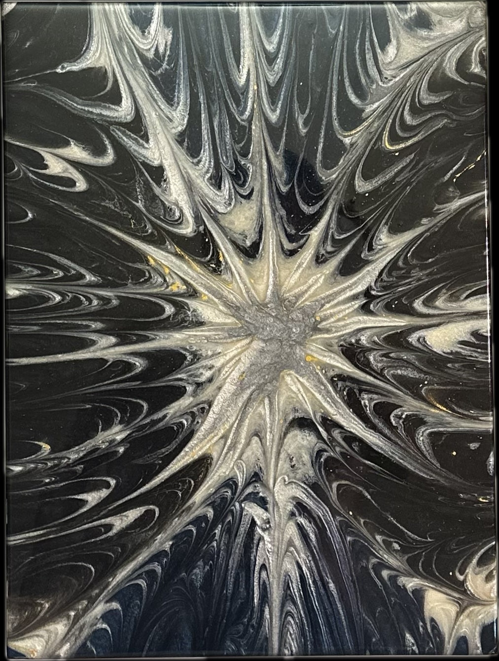 Winter Star in the Bay